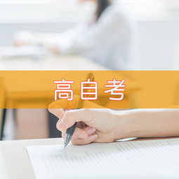 天津慧永諾教育信息咨詢 專業引領，點亮未來教育之路