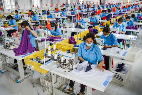 早間教育資訊 2020年9月18日教育咨詢服務動態觀察